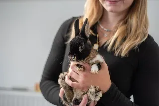 Králík na podložce během lekce jógy s králíčky v Ostravě